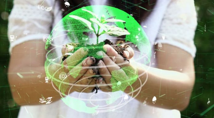 Sustainable Investment