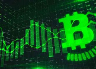 What are the Reasons Why Hedge Funds Avoid Investing in Bitcoin? Bitcoin-Investment