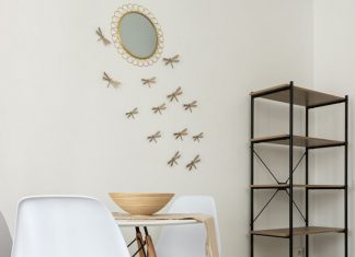 Furniture Rental Startup