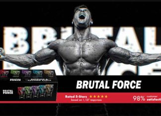 Brutal Force