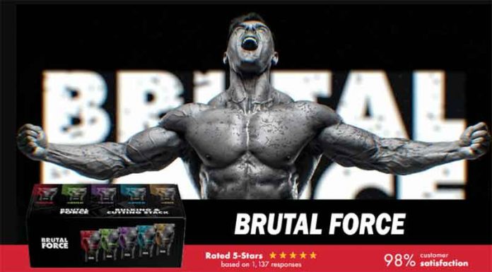 Brutal Force