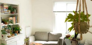 Ecofriendly-apartment