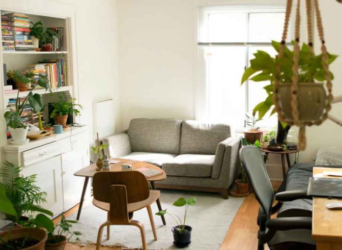 Ecofriendly-apartment