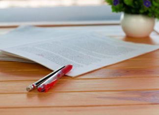 Learning How to Write an Essay for Beginners Essay