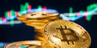 Some Important Things You Should Know About Fiat Currency Exchanges  Fiat Currency