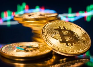 Some Important Things You Should Know About Fiat Currency Exchanges Fiat Currency