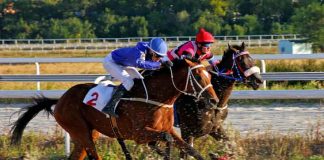 What You Need To Learn About Horse Racing Betting Horse-betting