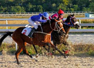 What You Need To Learn About Horse Racing Betting Horse-betting