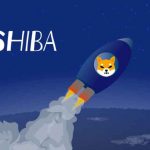 Shiba---Crypto