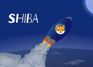 What Helps SHIBA INU Coin to Rise? Shiba---Crypto