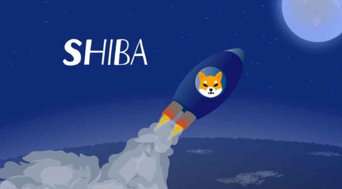 Shiba---Crypto