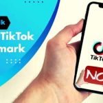 Annoying TikTok Watermarks? Use Smalltik to Remove Them! Small-Tik