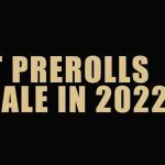 Best Pre-Rolled Cones to Buy in 2022 best prerolls