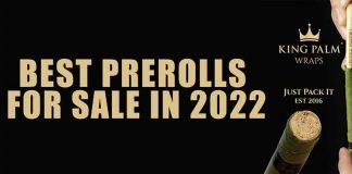 Best Pre-Rolled Cones to Buy in 2022 best prerolls