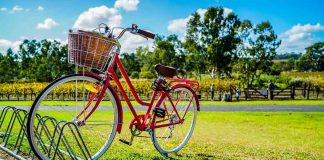 Is Insurance Cheaper on Bicycles? bicycle