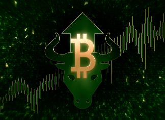 Reasons to Trade Coin-margin Futures in a Bull Market  Bull Market