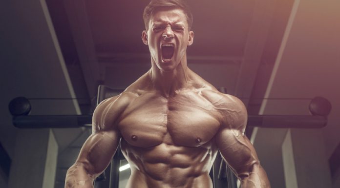 Deca Durabolin Cycle