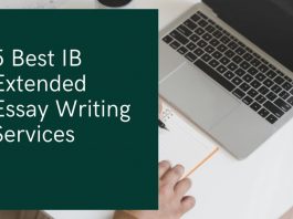 Essay Writing Services