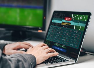 How to Choose a Reliable Betting Provider for Sports Betting Betting Provider for Sports Betting
