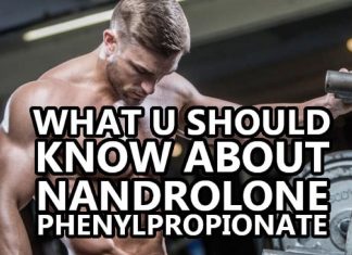 NPP Steroid