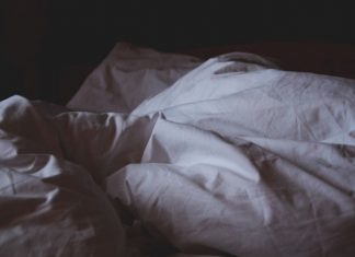 Is A Bed Bug Business Profitable? bed bag business