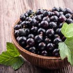 Bringing Black Currant Business Back in the USA black currants