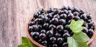 black currants