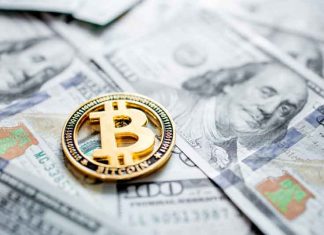 Bitcoin Cash Vs. Bitcoin: How One Is Distinctive from Another? cash and coin