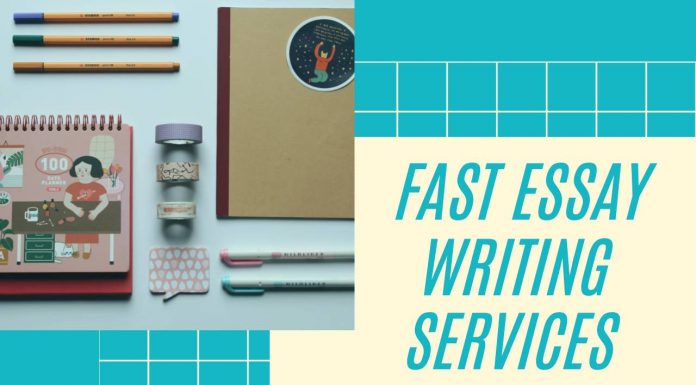 Essay Writing Services