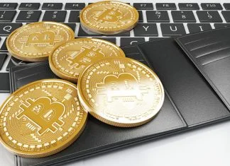 Which is the Most Popular Bitcoin Lightning Network Wallet in 2022? bitcoin wallet