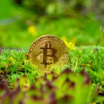 The Truth About Crypto Bitcoin Crypto