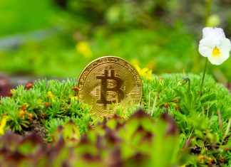 The Truth About Crypto Bitcoin Crypto