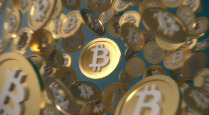 How Beginners Can Learn Coin Price Prediction Technique? Cryptocurrency