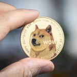 Best Dogecoin Online Casinos In 2022: Pros & Cons Dogecoin