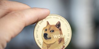Best Dogecoin Online Casinos In 2022: Pros & Cons Dogecoin