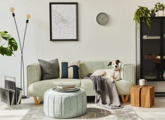 The Future of Home Decor Trends in 2022 Home Decor