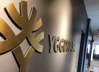 How Yggdrasil are Helping Develop the Latest Crop of Emerging iGaming Talent Yggdrasil
