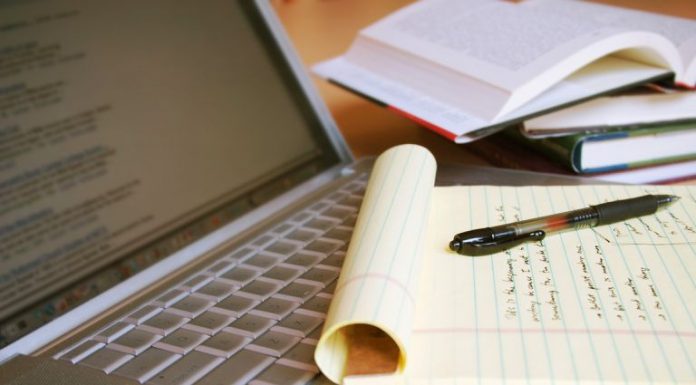 Essay Writing Services