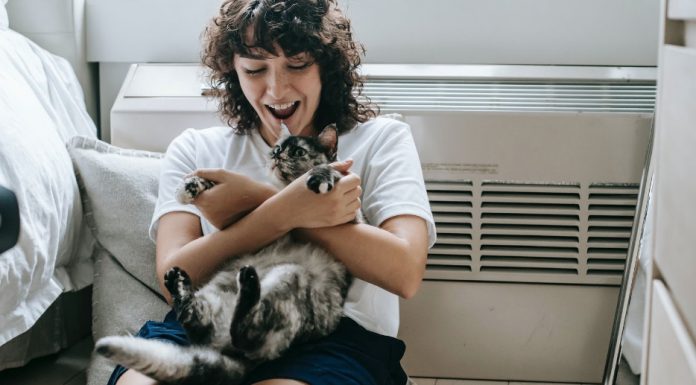 Energy Saving Tips In the Home