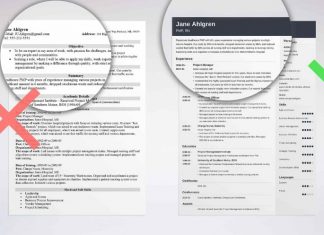 Types of Professional Resumes and How to Make the Ideal Selection Professional Resume