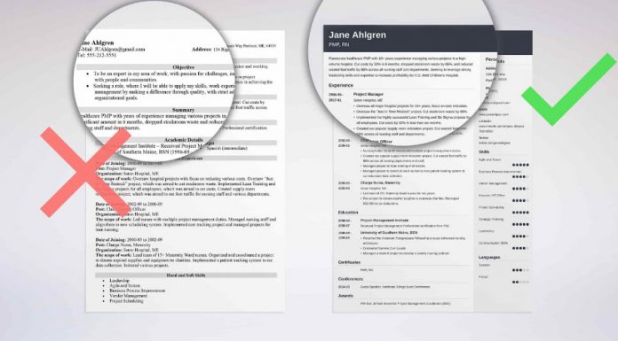 Types of Professional Resumes and How to Make the Ideal Selection Professional Resume