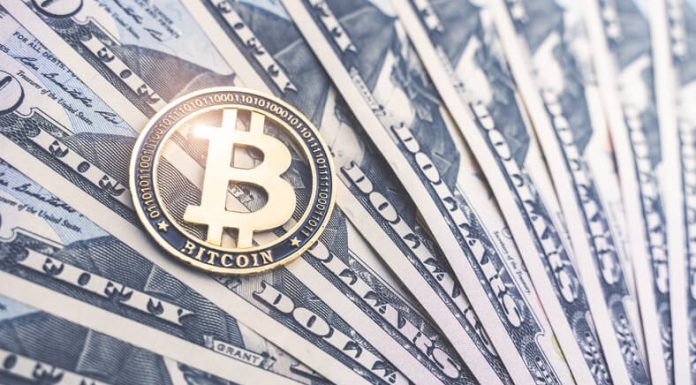 How to Buy USD Coins in India? USDC in India