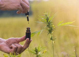 What Is CBDA: Beginner’s Guide