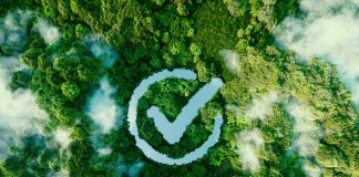 An icon of a goal fulfilled in the form of a clear pond in the middle of a lush forest. 3d rendering.