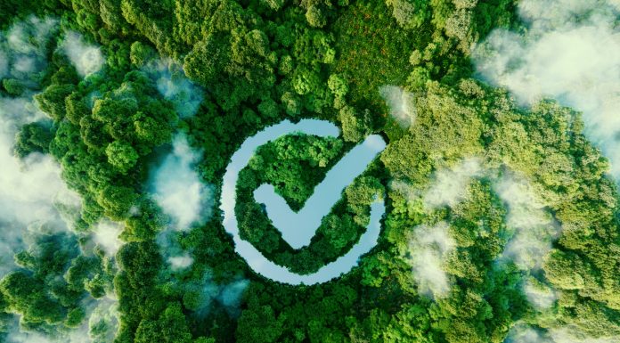 6 Easy Ways Businesses Can Be More Eco-Friendly An icon of a goal fulfilled in the form of a clear pond in the middle of a lush forest. 3d rendering.