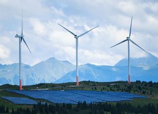 Race to Net Zero