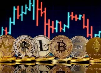 8 Cryptocurrencies That are Holding a Huge Market Share Cryptocurrencies