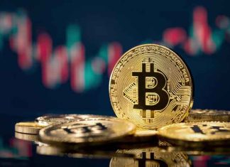 8 Ways How Bitcoin Affected the Transport Sector of Bangladesh Bitcoin---