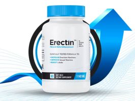 Erectin