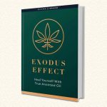 Exodus Effect Review: Don’t Spend a DIME Till You Read This Exodus Effect Review